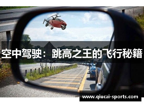 空中驾驶：跳高之王的飞行秘籍